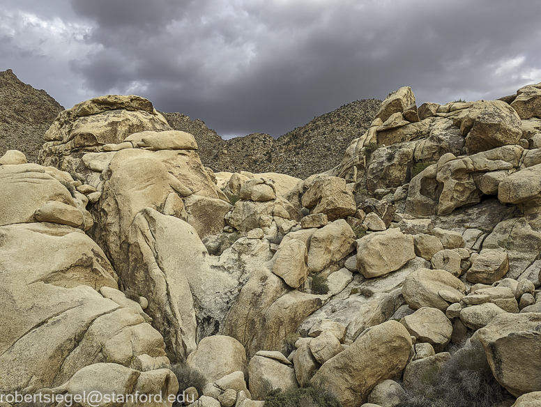 Joshua Tree National Park